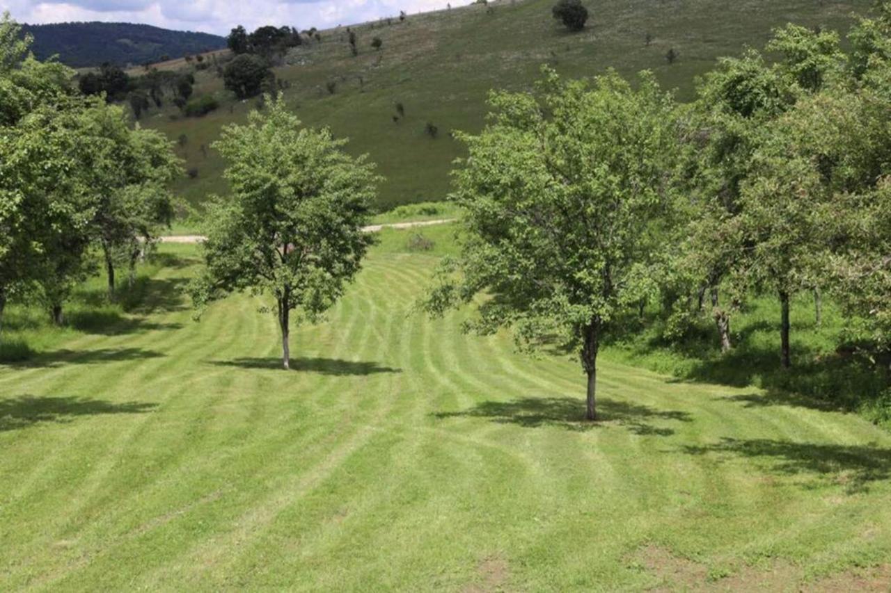 Salas U Bregu In Cheile Carasului Crasova Экстерьер фото