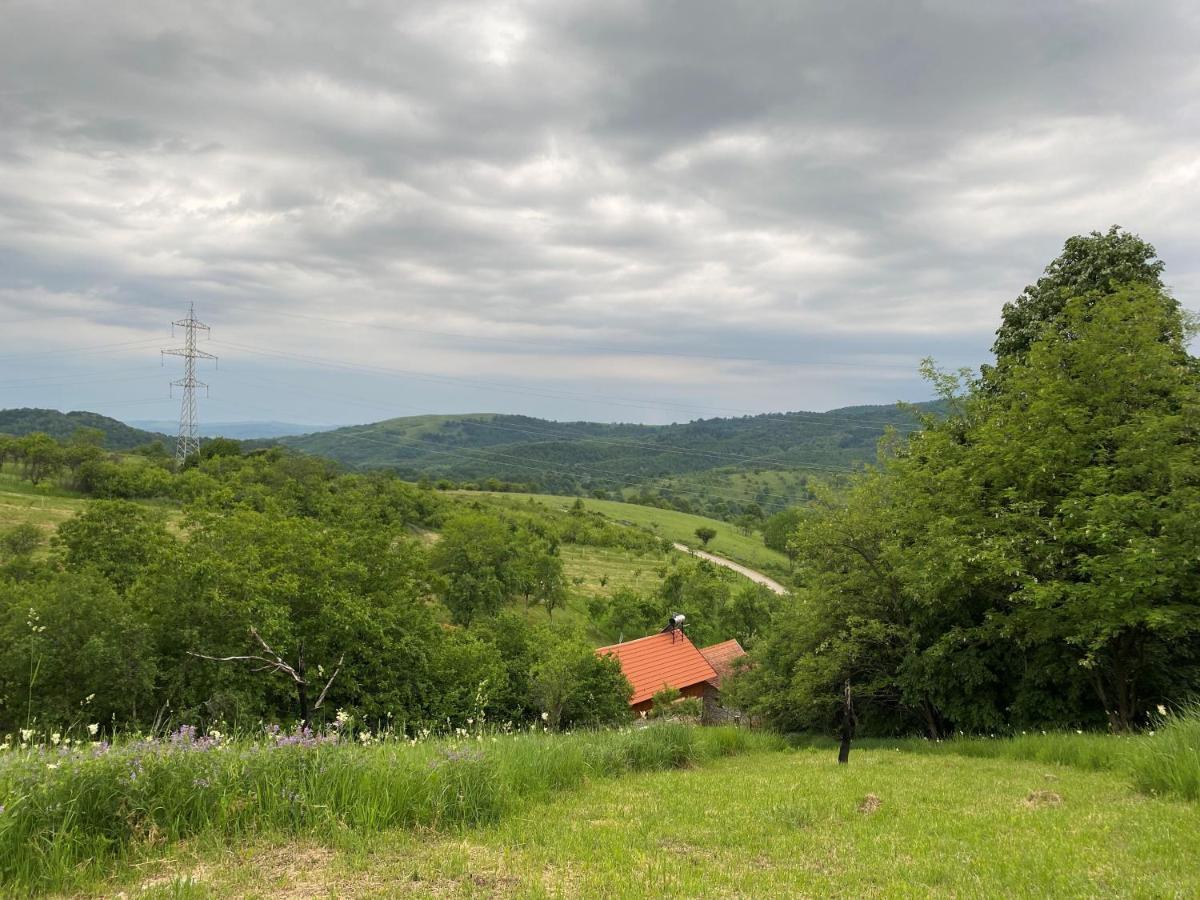 Salas U Bregu In Cheile Carasului Crasova Экстерьер фото